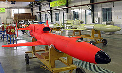 Photo of İran’ın ilk füzelerle donatılan İHA’sı görücüye çıktı