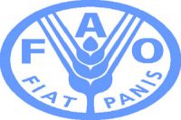 Photo of FAO: Suriye’de gıdaya muhtaç insanlarda yüzde 50 oranında artış var