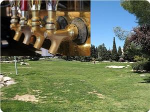 Photo of İşgalciler Kudüs’teki Me’menullah mezarlığı’nda içki festivali düzenleyecek