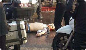 Photo of Filistin’li Genç Aracıyla Siyonistlere Saldırdı 12 Yaralı