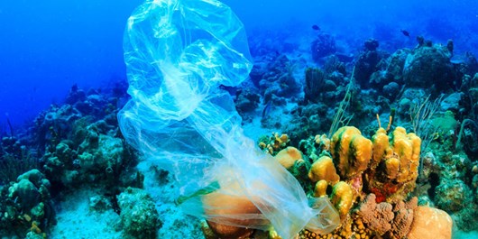 Photo of Neden mi hep hastayız? Dünya halkı yılda 5 trilyon plastik tüketiyor